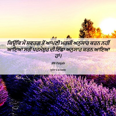 Picture 06 - ਯੂਹੰਨਾ 6:38 PANIRV - ਕਿਉਂਕਿ ਮੈਂ ਸਵਰਗ - Bible Verse Picture