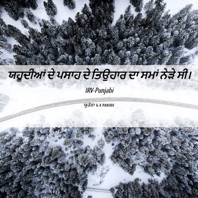 Picture 06 - ਯੂਹੰਨਾ 6:4 PANIRV - ਯਹੂਦੀਆਂ ਦੇ ਪਸਾਹ ਦੇ - Bible Verse Picture