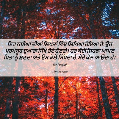 Picture 06 - ਯੂਹੰਨਾ 6:45 PANIRV - ਇਹ ਨਬੀਆਂ ਦੀਆਂ - Bible Verse Picture