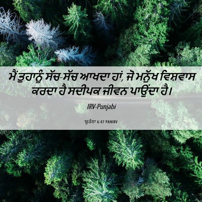 Picture 06 - ਯੂਹੰਨਾ 6:47 PANIRV - ਮੈਂ ਤੁਹਾਨੂੰ - Bible Verse Picture