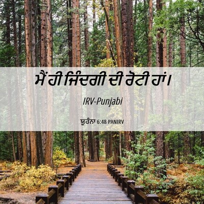 Picture 06 - ਯੂਹੰਨਾ 6:48 PANIRV - ਮੈਂ ਹੀ ਜਿੰਦਗੀ ਦੀ - Bible Verse Picture