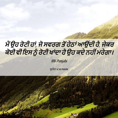 Picture 06 - ਯੂਹੰਨਾ 6:50 PANIRV - ਮੈਂ ਉਹ ਰੋਟੀ ਹਾਂ, ਜੋ - Bible Verse Picture