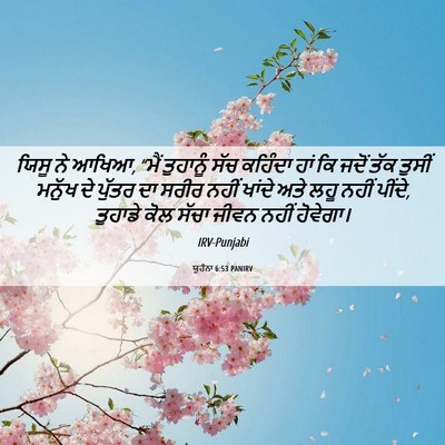 Picture 06 - ਯੂਹੰਨਾ 6:53 PANIRV - ਯਿਸੂ ਨੇ ਆਖਿਆ, “ਮੈਂ - Bible Verse Picture