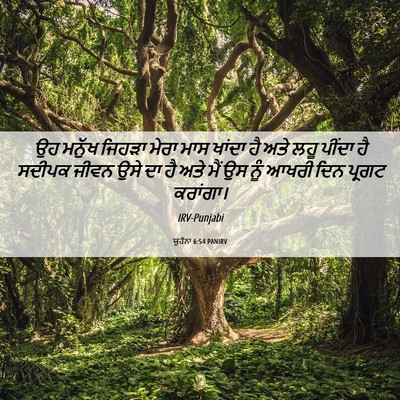 Picture 06 - ਯੂਹੰਨਾ 6:54 PANIRV - ਉਹ ਮਨੁੱਖ ਜਿਹੜਾ - Bible Verse Picture