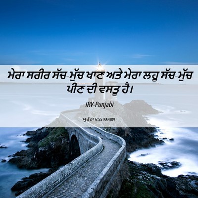 Picture 06 - ਯੂਹੰਨਾ 6:55 PANIRV - ਮੇਰਾ ਸਰੀਰ ਸੱਚ-ਮੁੱਚ - Bible Verse Picture