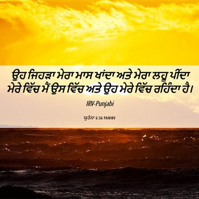 Picture 06 - ਯੂਹੰਨਾ 6:56 PANIRV - ਉਹ ਜਿਹੜਾ ਮੇਰਾ ਮਾਸ - Bible Verse Picture