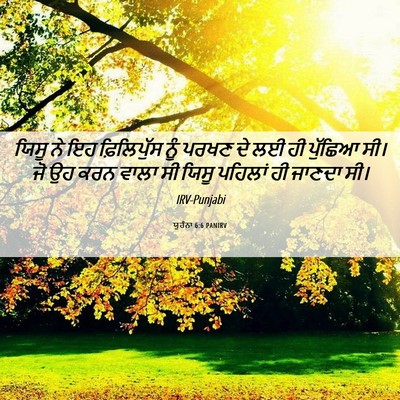 Picture 06 - ਯੂਹੰਨਾ 6:6 PANIRV - ਯਿਸੂ ਨੇ ਇਹ - Bible Verse Picture