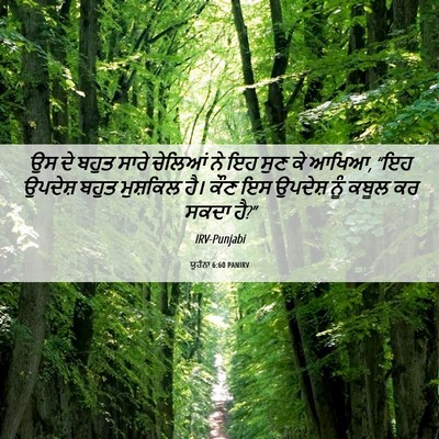 Picture 06 - ਯੂਹੰਨਾ 6:60 PANIRV - ਉਸ ਦੇ ਬਹੁਤ ਸਾਰੇ - Bible Verse Picture