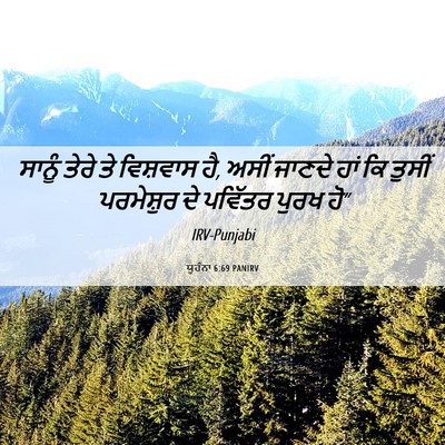 Picture 06 - ਯੂਹੰਨਾ 6:69 PANIRV - ਸਾਨੂੰ ਤੇਰੇ ਤੇ - Bible Verse Picture