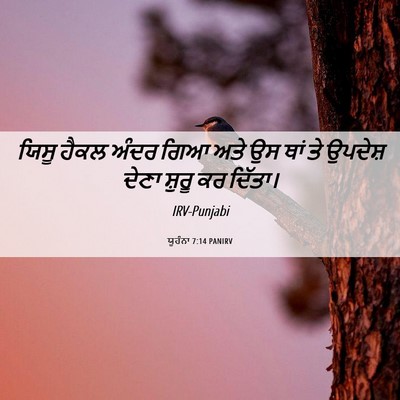 Picture 06 - ਯੂਹੰਨਾ 7:14 PANIRV - ਯਿਸੂ ਹੈਕਲ ਅੰਦਰ ਗਿਆ - Bible Verse Picture