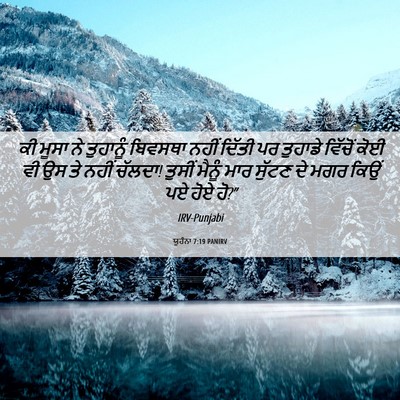 Picture 06 - ਯੂਹੰਨਾ 7:19 PANIRV - ਕੀ ਮੂਸਾ ਨੇ ਤੁਹਾਨੂੰ - Bible Verse Picture