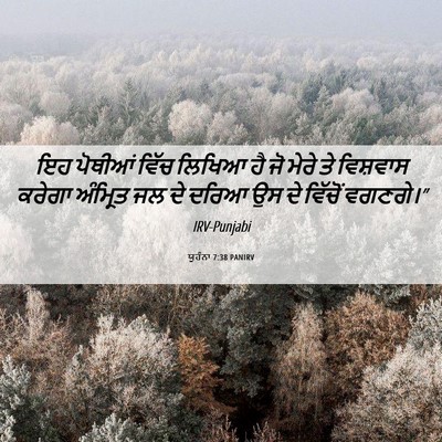 Picture 06 - ਯੂਹੰਨਾ 7:38 PANIRV - ਇਹ ਪੋਥੀਆਂ ਵਿੱਚ - Bible Verse Picture