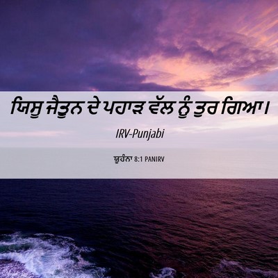 Picture 06 - ਯੂਹੰਨਾ 8:1 PANIRV - ਯਿਸੂ ਜੈਤੂਨ ਦੇ ਪਹਾੜ - Bible Verse Picture