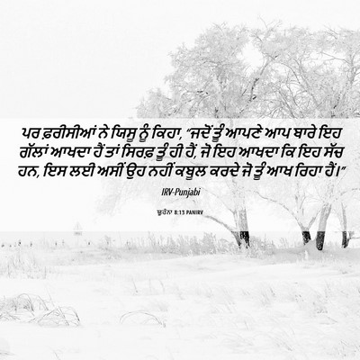 Picture 06 - ਯੂਹੰਨਾ 8:13 PANIRV - ਪਰ ਫ਼ਰੀਸੀਆਂ ਨੇ - Bible Verse Picture