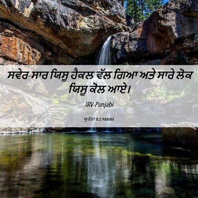 Picture 06 - ਯੂਹੰਨਾ 8:2 PANIRV - ਸਵੇਰ-ਸਾਰ ਯਿਸੂ ਹੈਕਲ - Bible Verse Picture