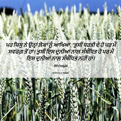 Picture 06 - ਯੂਹੰਨਾ 8:23 PANIRV - ਪਰ ਯਿਸੂ ਨੇ ਉਨ੍ਹਾਂ - Bible Verse Picture
