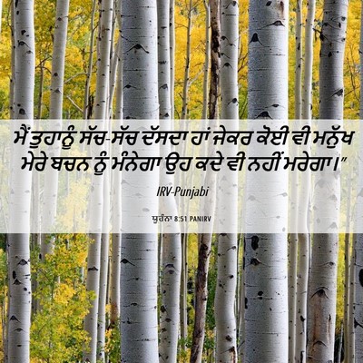 Picture 06 - ਯੂਹੰਨਾ 8:51 PANIRV - ਮੈਂ ਤੁਹਾਨੂੰ - Bible Verse Picture