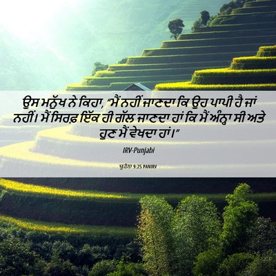 Picture 06 - ਯੂਹੰਨਾ 9:25 PANIRV - ਉਸ ਮਨੁੱਖ ਨੇ ਕਿਹਾ, - Bible Verse Picture