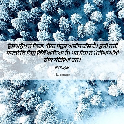 Picture 06 - ਯੂਹੰਨਾ 9:30 PANIRV - ਉਸ ਮਨੁੱਖ ਨੇ ਕਿਹਾ, - Bible Verse Picture