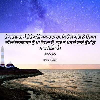 Picture 06 - ਯੋਏਲ 1:19 PANIRV - ਹੇ ਯਹੋਵਾਹ, ਮੈਂ ਤੇਰੇ - Bible Verse Picture