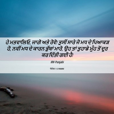 Picture 06 - ਯੋਏਲ 1:5 PANIRV - ਹੇ ਮਤਵਾਲਿਓ, ਜਾਗੋ - Bible Verse Picture