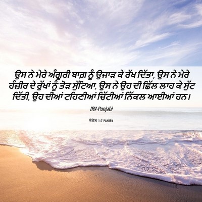Picture 06 - ਯੋਏਲ 1:7 PANIRV - ਉਸ ਨੇ ਮੇਰੇ ਅੰਗੂਰੀ - Bible Verse Picture