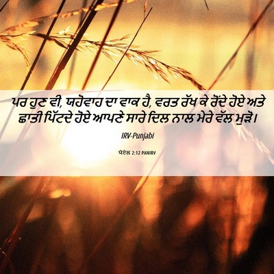 Picture 06 - ਯੋਏਲ 2:12 PANIRV - ਪਰ ਹੁਣ ਵੀ, ਯਹੋਵਾਹ - Bible Verse Picture
