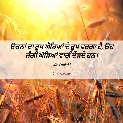 Picture 06 - ਯੋਏਲ 2:4 PANIRV - ਉਹਨਾਂ ਦਾ ਰੂਪ - Bible Verse Picture