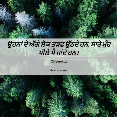 Picture 06 - ਯੋਏਲ 2:6 PANIRV - ਉਹਨਾਂ ਦੇ ਅੱਗੇ ਲੋਕ - Bible Verse Picture