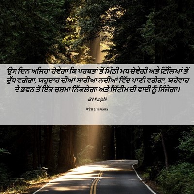 Picture 06 - ਯੋਏਲ 3:18 PANIRV - ਉਸ ਦਿਨ ਅਜਿਹਾ - Bible Verse Picture