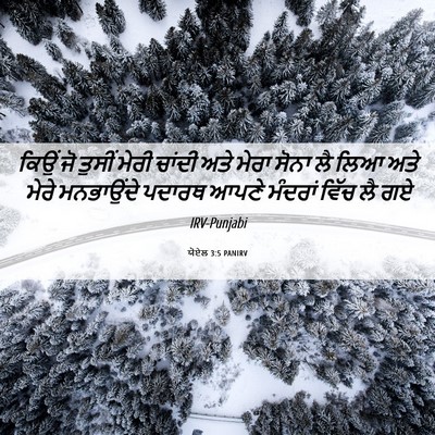 Picture 06 - ਯੋਏਲ 3:5 PANIRV - ਕਿਉਂ ਜੋ ਤੁਸੀਂ ਮੇਰੀ - Bible Verse Picture