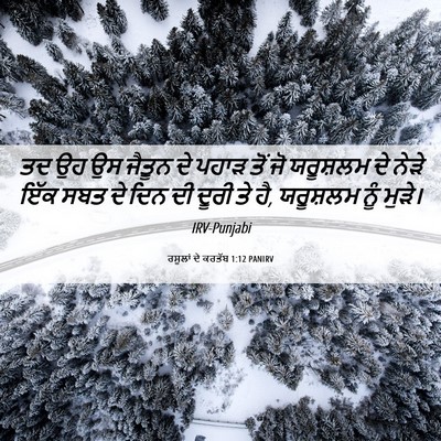Picture 06 - ਰਸੂਲਾਂ ਦੇ ਕਰਤੱਬ 1:12 PANIRV - ਤਦ ਉਹ ਉਸ ਜੈਤੂਨ ਦੇ - Bible Verse Picture