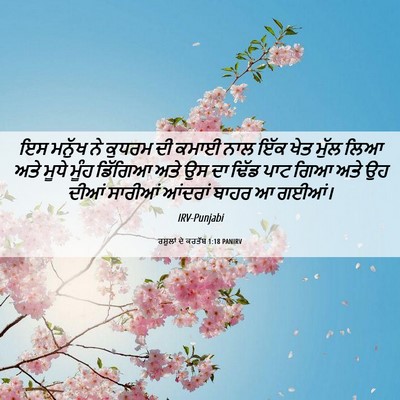 Picture 06 - ਰਸੂਲਾਂ ਦੇ ਕਰਤੱਬ 1:18 PANIRV - ਇਸ ਮਨੁੱਖ ਨੇ ਕੁਧਰਮ - Bible Verse Picture