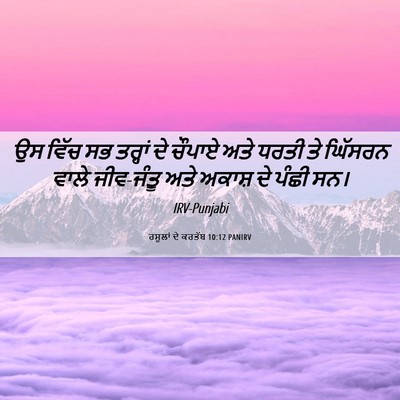 Picture 06 - ਰਸੂਲਾਂ ਦੇ ਕਰਤੱਬ 10:12 PANIRV - ਉਸ ਵਿੱਚ ਸਭ ਤਰ੍ਹਾਂ - Bible Verse Picture