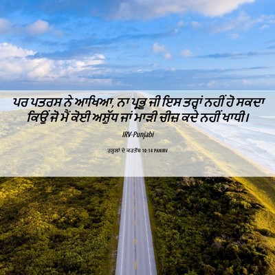 Picture 06 - ਰਸੂਲਾਂ ਦੇ ਕਰਤੱਬ 10:14 PANIRV - ਪਰ ਪਤਰਸ ਨੇ ਆਖਿਆ, ਨਾ - Bible Verse Picture