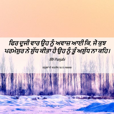 Picture 06 - ਰਸੂਲਾਂ ਦੇ ਕਰਤੱਬ 10:15 PANIRV - ਫਿਰ ਦੂਜੀ ਵਾਰ ਉਹ ਨੂੰ - Bible Verse Picture