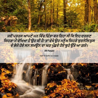 Picture 06 - ਰਸੂਲਾਂ ਦੇ ਕਰਤੱਬ 10:17 PANIRV - ਜਦੋਂ ਪਤਰਸ ਆਪਣੇ ਮਨ - Bible Verse Picture