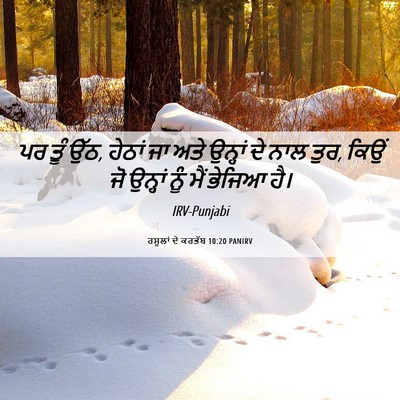Picture 06 - ਰਸੂਲਾਂ ਦੇ ਕਰਤੱਬ 10:20 PANIRV - ਪਰ ਤੂੰ ਉੱਠ, ਹੇਠਾਂ - Bible Verse Picture