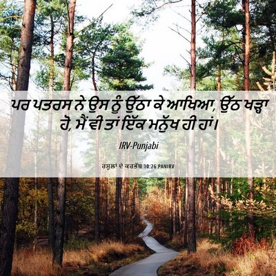 Picture 06 - ਰਸੂਲਾਂ ਦੇ ਕਰਤੱਬ 10:26 PANIRV - ਪਰ ਪਤਰਸ ਨੇ ਉਸ ਨੂੰ - Bible Verse Picture