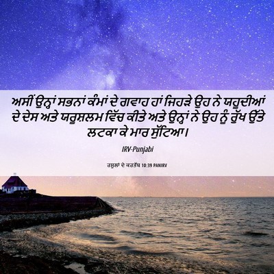 Picture 06 - ਰਸੂਲਾਂ ਦੇ ਕਰਤੱਬ 10:39 PANIRV - ਅਸੀਂ ਉਨ੍ਹਾਂ ਸਭਨਾਂ - Bible Verse Picture