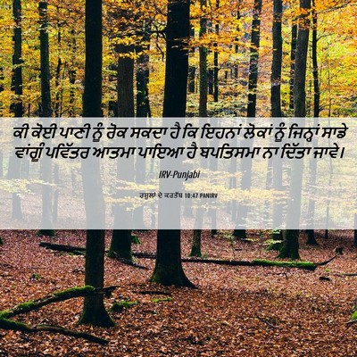 Picture 06 - ਰਸੂਲਾਂ ਦੇ ਕਰਤੱਬ 10:47 PANIRV - ਕੀ ਕੋਈ ਪਾਣੀ ਨੂੰ ਰੋਕ - Bible Verse Picture