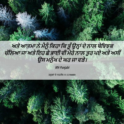 Picture 06 - ਰਸੂਲਾਂ ਦੇ ਕਰਤੱਬ 11:12 PANIRV - ਅਤੇ ਆਤਮਾ ਨੇ ਮੈਨੂੰ - Bible Verse Picture