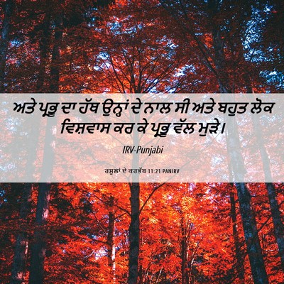 Picture 06 - ਰਸੂਲਾਂ ਦੇ ਕਰਤੱਬ 11:21 PANIRV - ਅਤੇ ਪ੍ਰਭੂ ਦਾ ਹੱਥ - Bible Verse Picture