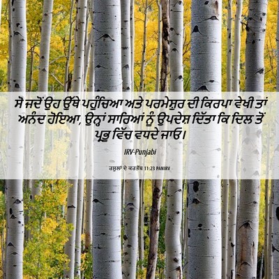 Picture 06 - ਰਸੂਲਾਂ ਦੇ ਕਰਤੱਬ 11:23 PANIRV - ਸੋ ਜਦੋਂ ਉਹ ਉੱਥੇ - Bible Verse Picture
