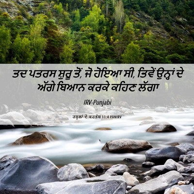 Picture 06 - ਰਸੂਲਾਂ ਦੇ ਕਰਤੱਬ 11:4 PANIRV - ਤਦ ਪਤਰਸ ਸ਼ੁਰੂ ਤੋਂ, - Bible Verse Picture