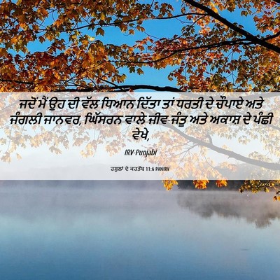 Picture 06 - ਰਸੂਲਾਂ ਦੇ ਕਰਤੱਬ 11:6 PANIRV - ਜਦੋਂ ਮੈਂ ਉਹ ਦੀ ਵੱਲ - Bible Verse Picture