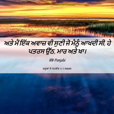 Picture 06 - ਰਸੂਲਾਂ ਦੇ ਕਰਤੱਬ 11:7 PANIRV - ਅਤੇ ਮੈਂ ਇੱਕ ਅਵਾਜ਼ - Bible Verse Picture