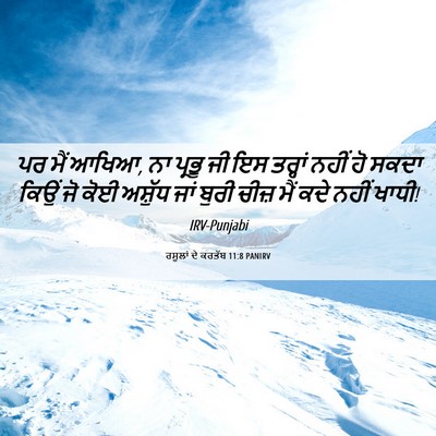 Picture 06 - ਰਸੂਲਾਂ ਦੇ ਕਰਤੱਬ 11:8 PANIRV - ਪਰ ਮੈਂ ਆਖਿਆ, ਨਾ - Bible Verse Picture