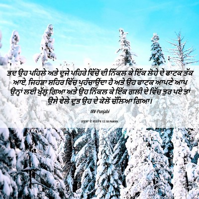 Picture 06 - ਰਸੂਲਾਂ ਦੇ ਕਰਤੱਬ 12:10 PANIRV - ਤਦ ਉਹ ਪਹਿਲੇ ਅਤੇ - Bible Verse Picture