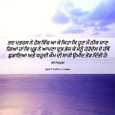 Picture 06 - ਰਸੂਲਾਂ ਦੇ ਕਰਤੱਬ 12:11 PANIRV - ਤਦ ਪਤਰਸ ਨੇ ਹੋਸ਼ - Bible Verse Picture